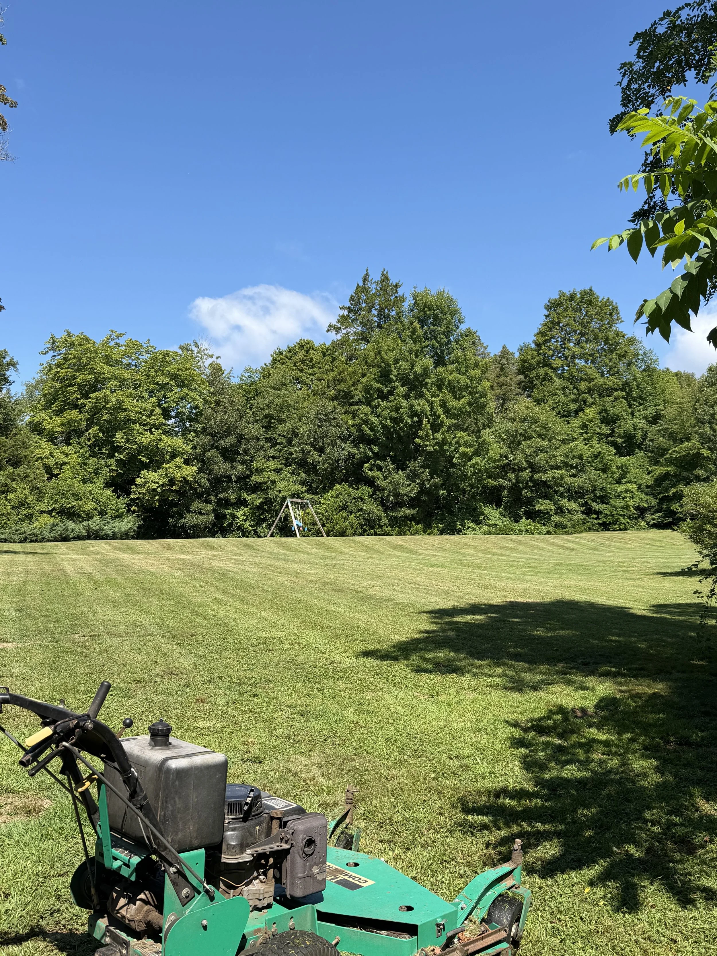 IMG_1481.jpeg