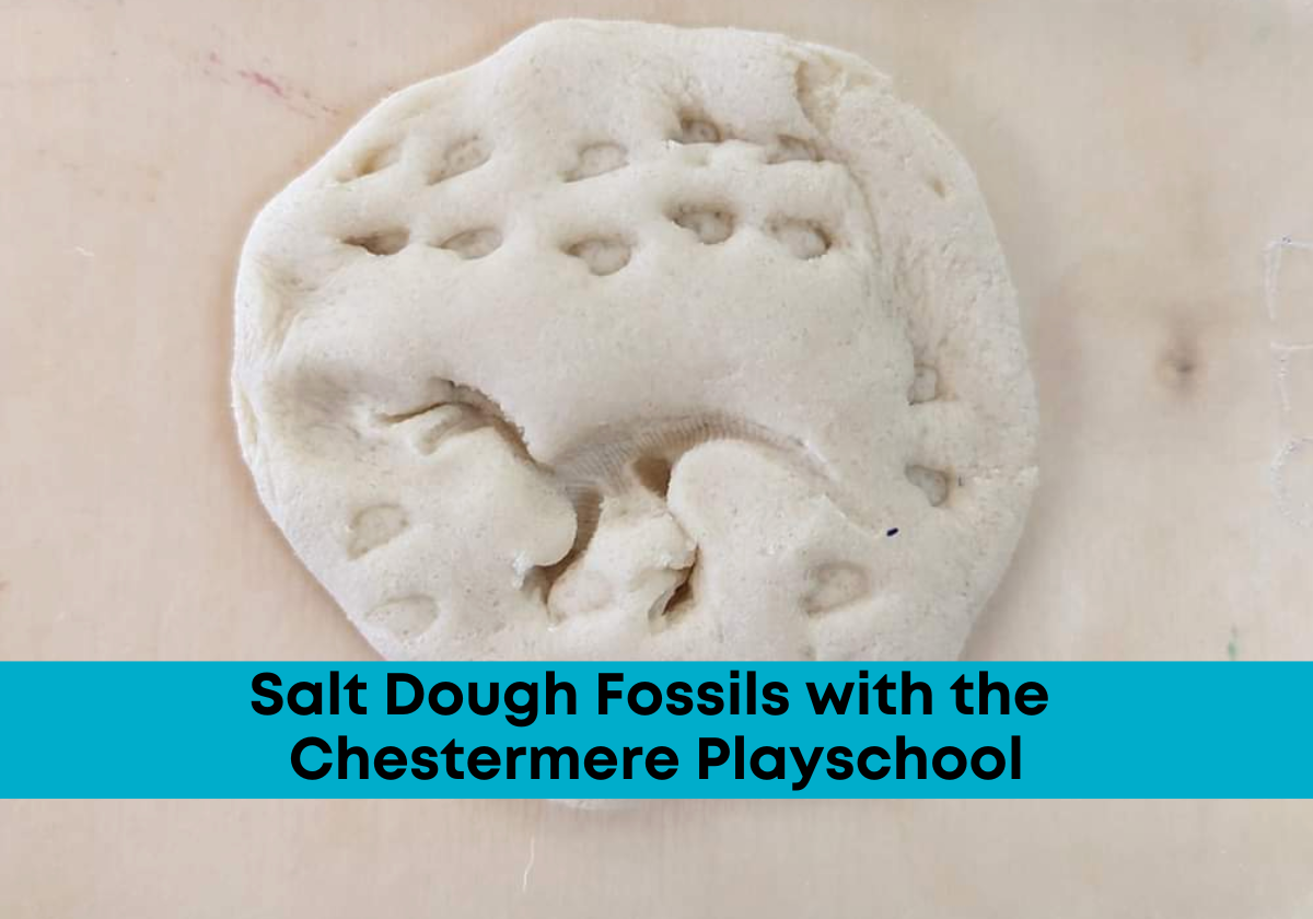 Salt Dough Fossils Craft for Kids – Easy DIY Activity with Recipe