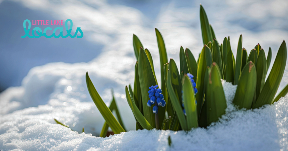 Spring &amp; Early Summer Events in Chestermere 2026