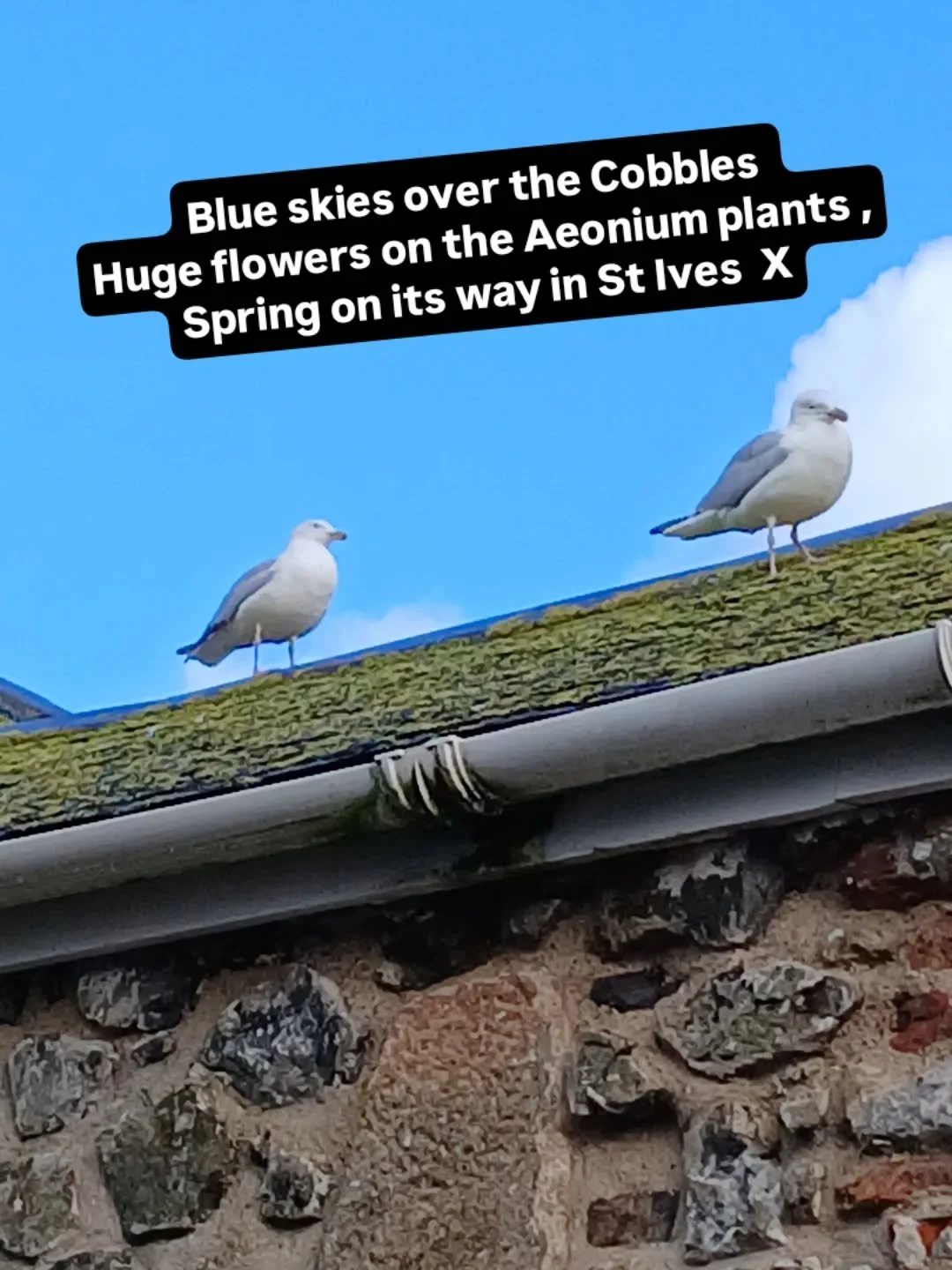We are back in our beloved cottage, getting ready for our valued guests.  Had plenty of blue skies. 
Loving the cosy winter evenings and beautiful walks as a reward for our labours and a few beers of course. #stives #happyplace #winterbreaks