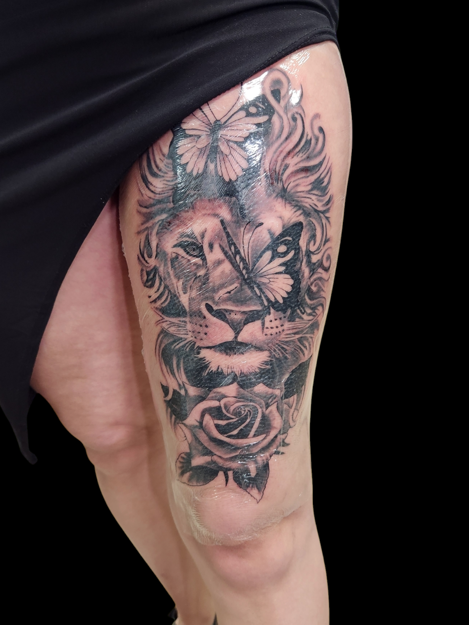 Photoroom-20250213_174328 (1).PNG