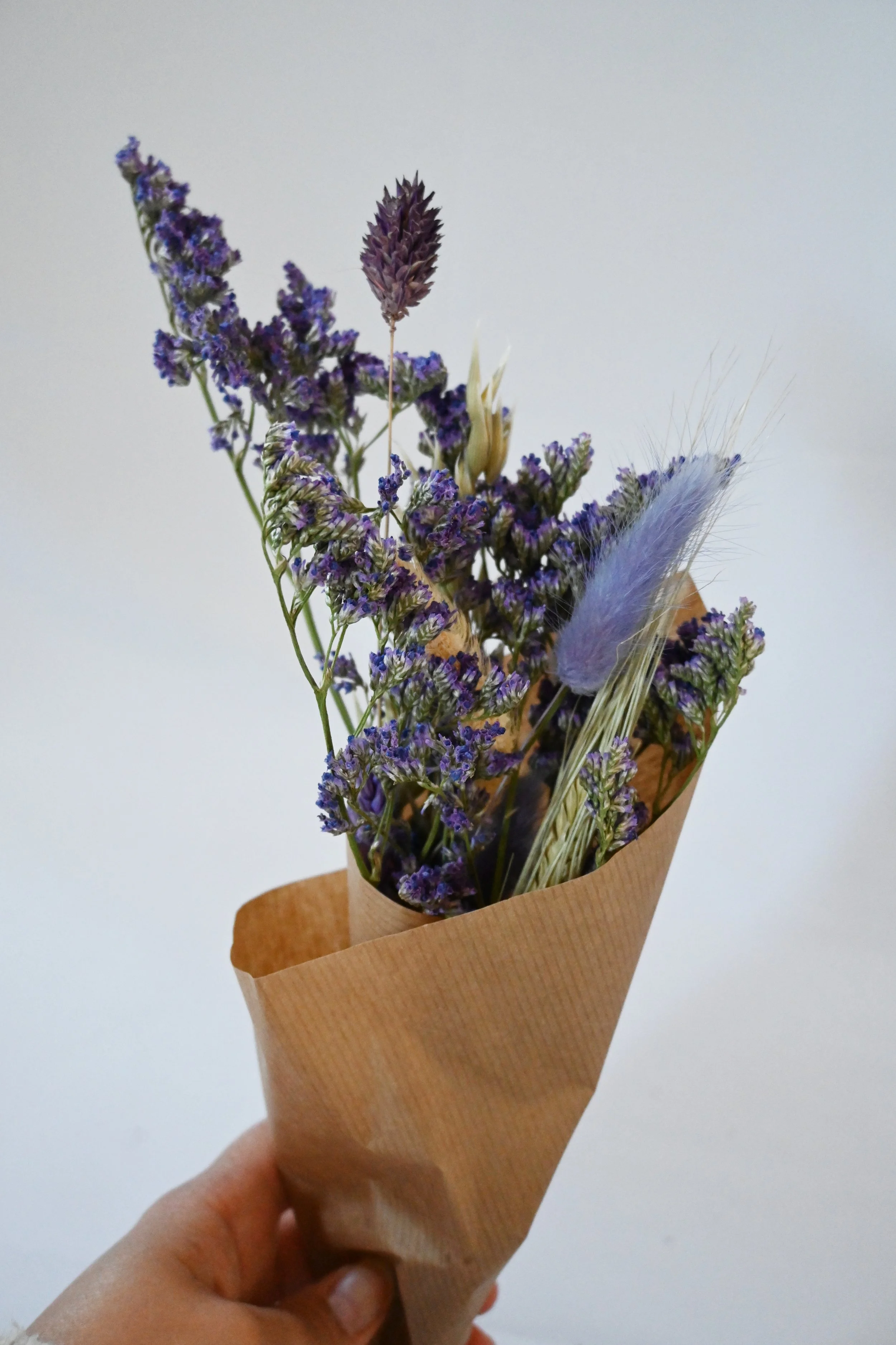 Purple dry flowers.jpg