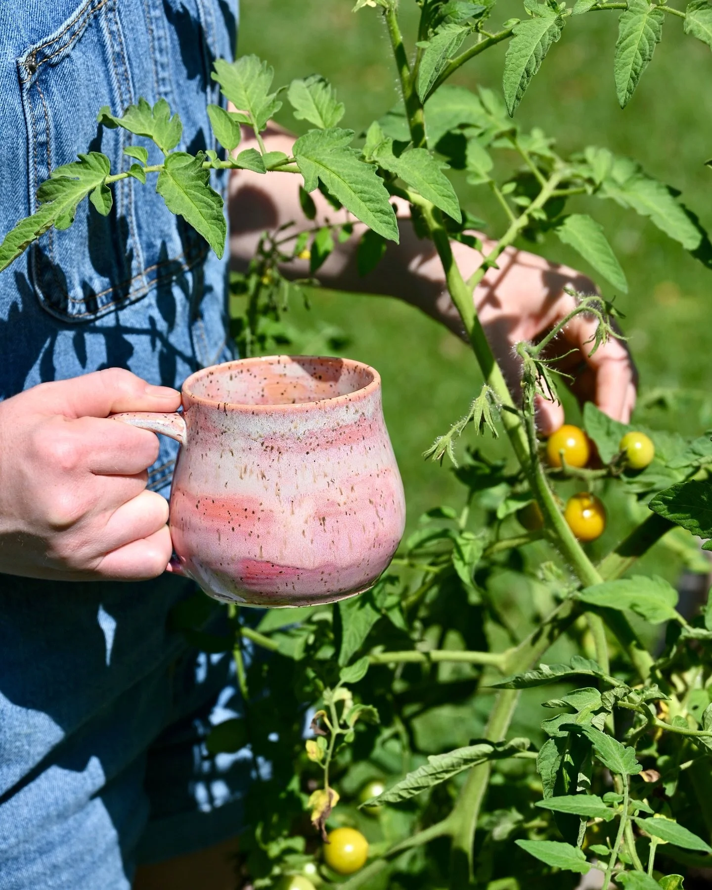 Sunny mornings checking on our plants with a cup of coffee in hand βοΈπ
π±π
Favorite part of the day!
#pottery #glaze #potterystudio #ceramics #handmade #wheelthrown #hillsboro #hillsborova #loudoun #loudounva #loudouncounty #loudouncountyva #nova