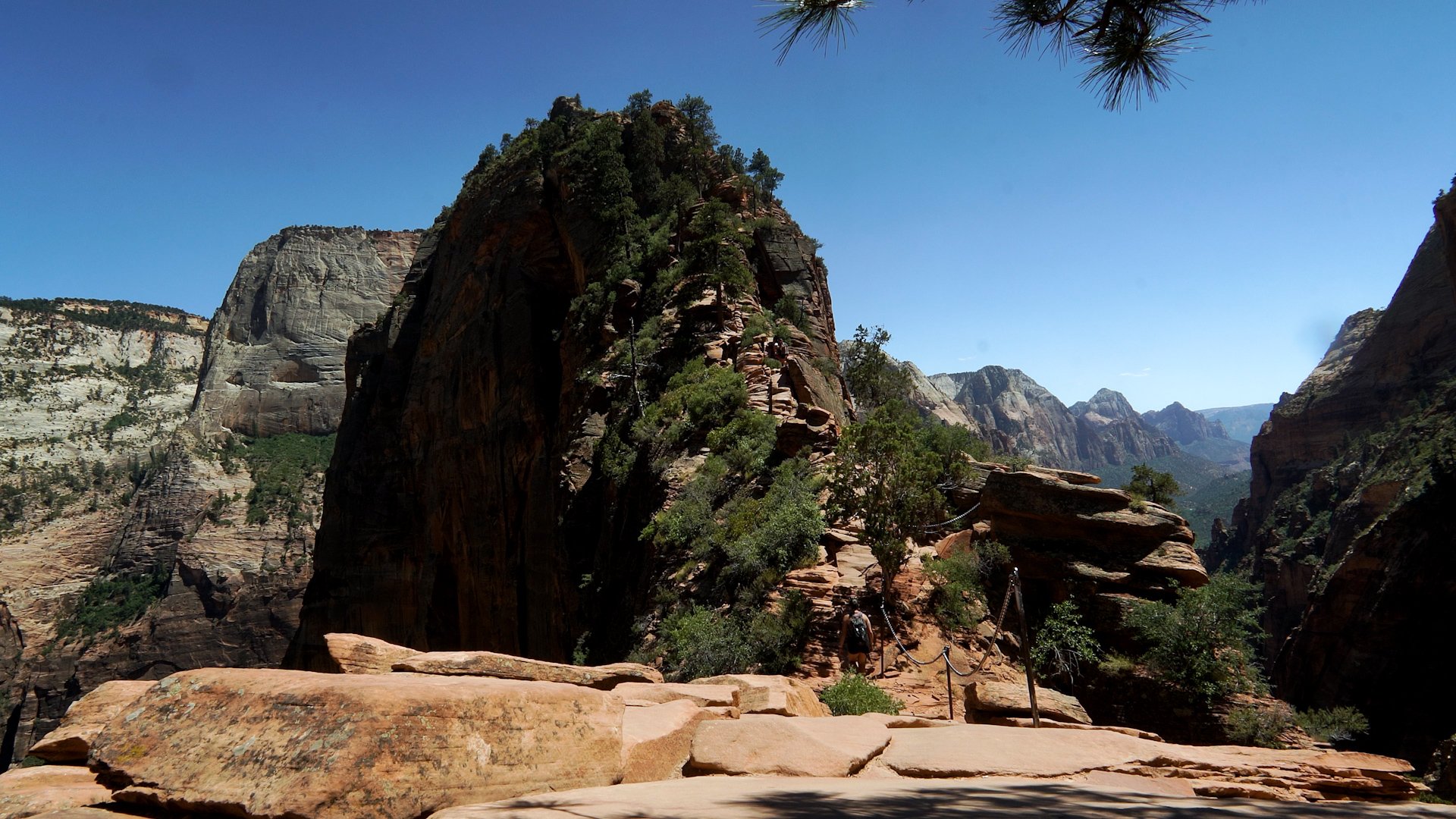 ZION.00_00_01_22.Still002.jpg