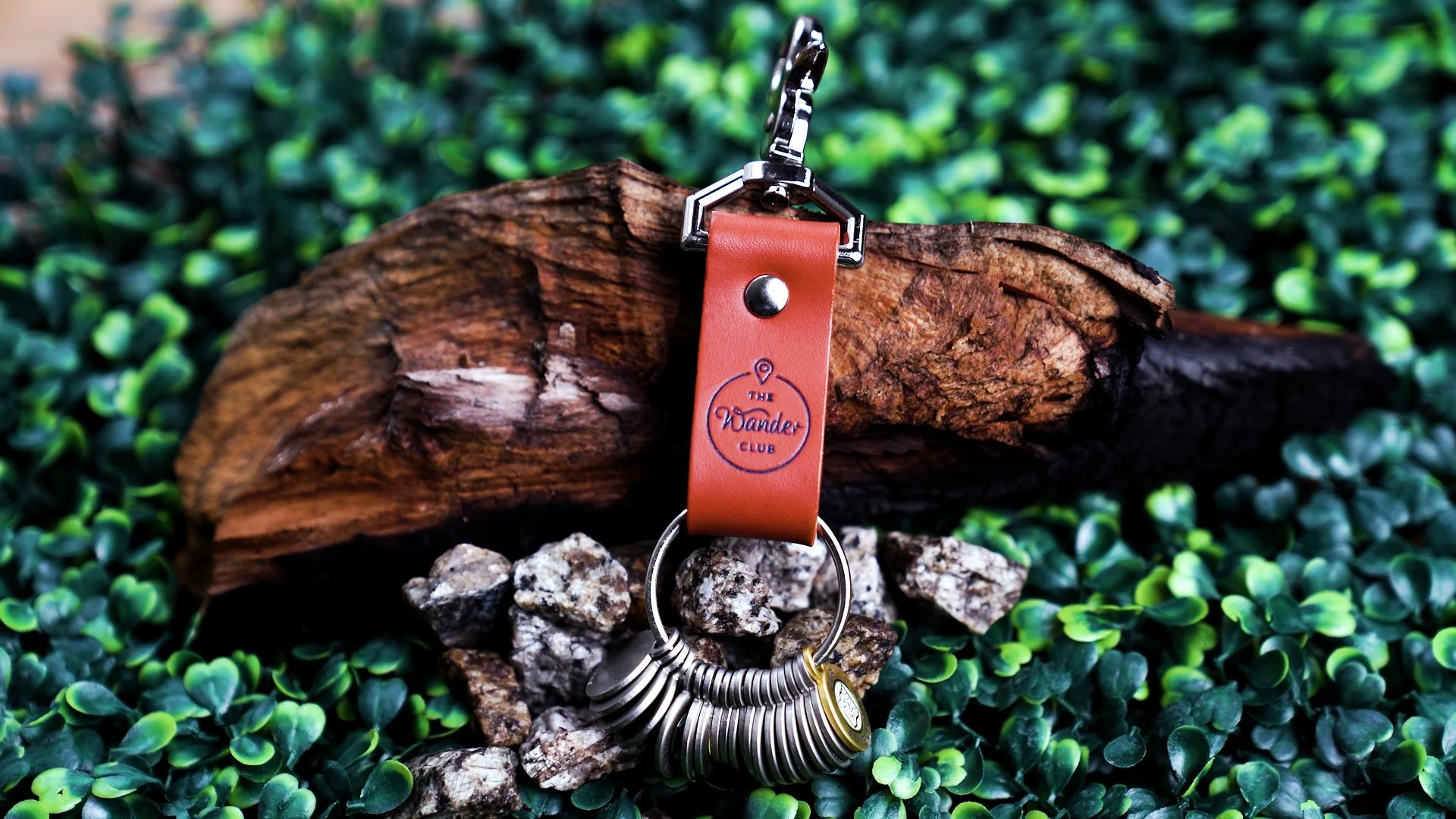 Sequence 02.00_01_02_13.Still008.jpg