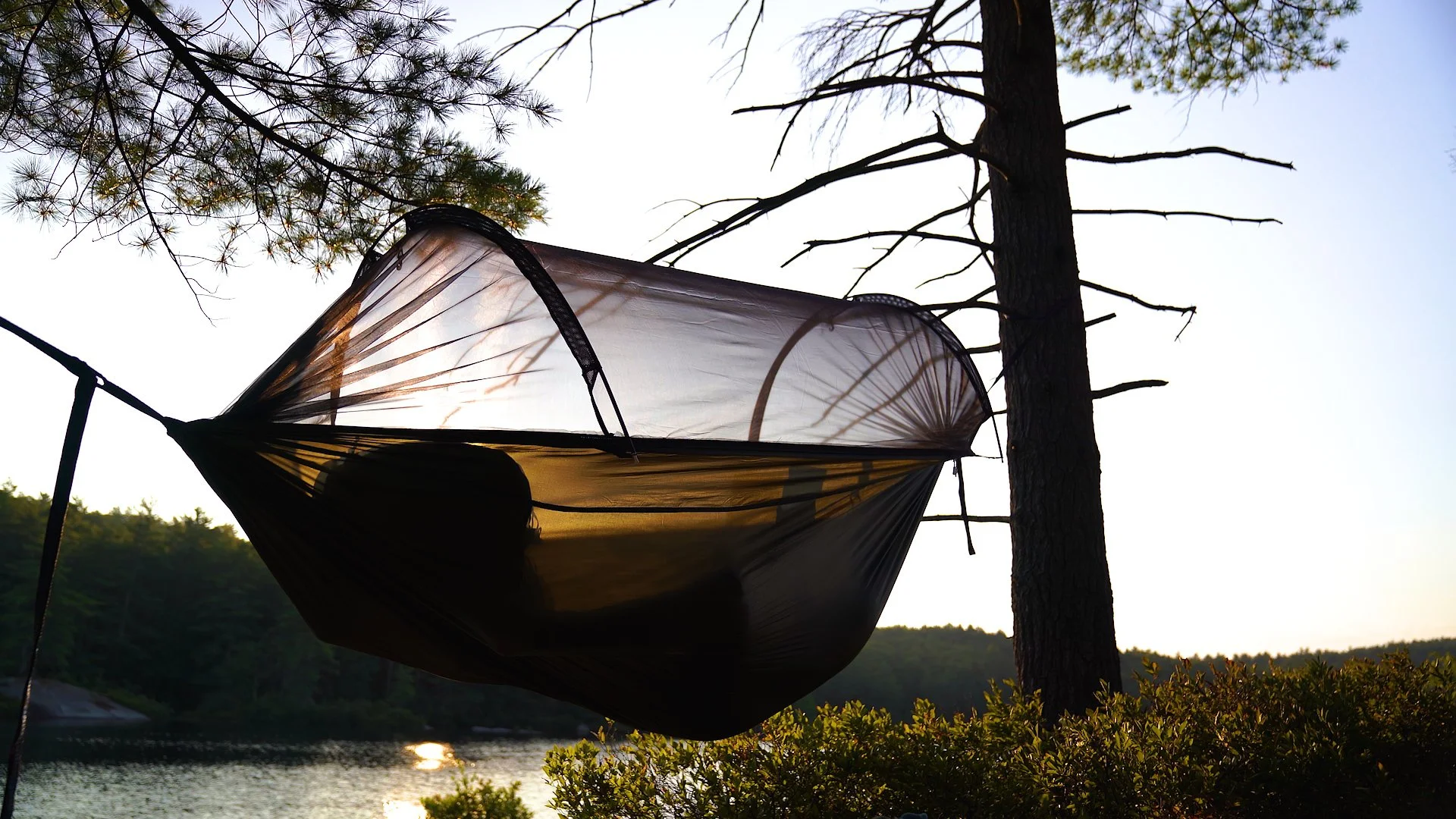 Sequence 03.00_00_34_13.Still008.jpg