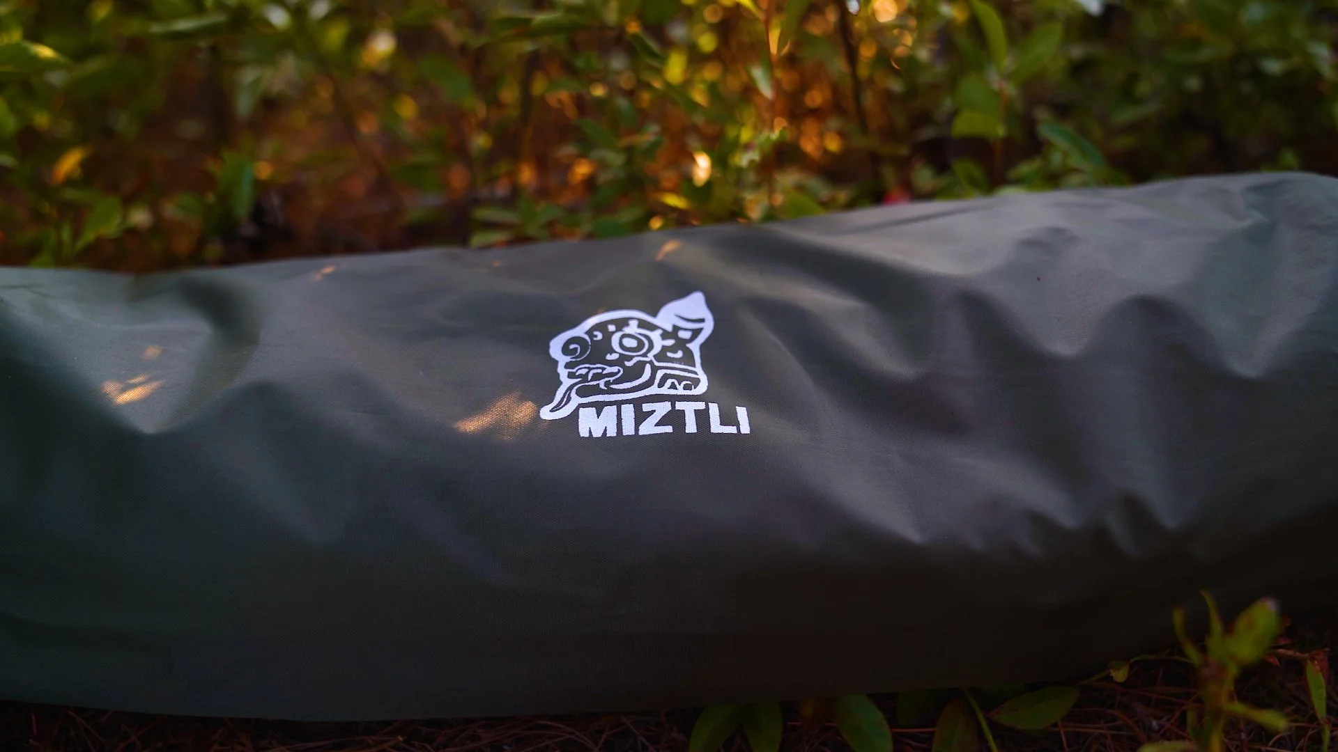 Sequence 03.00_00_55_01.Still012.jpg