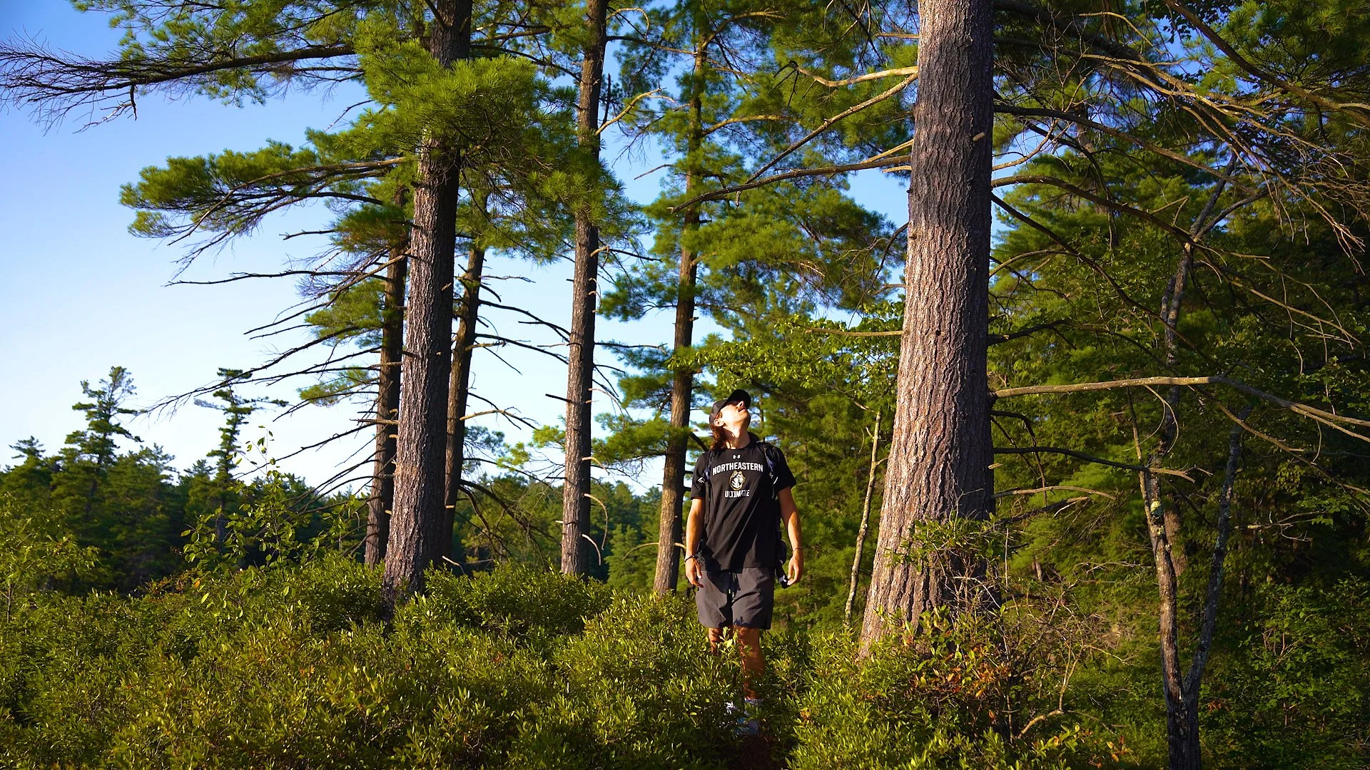 Sequence 03.00_00_18_03.Still004.jpg