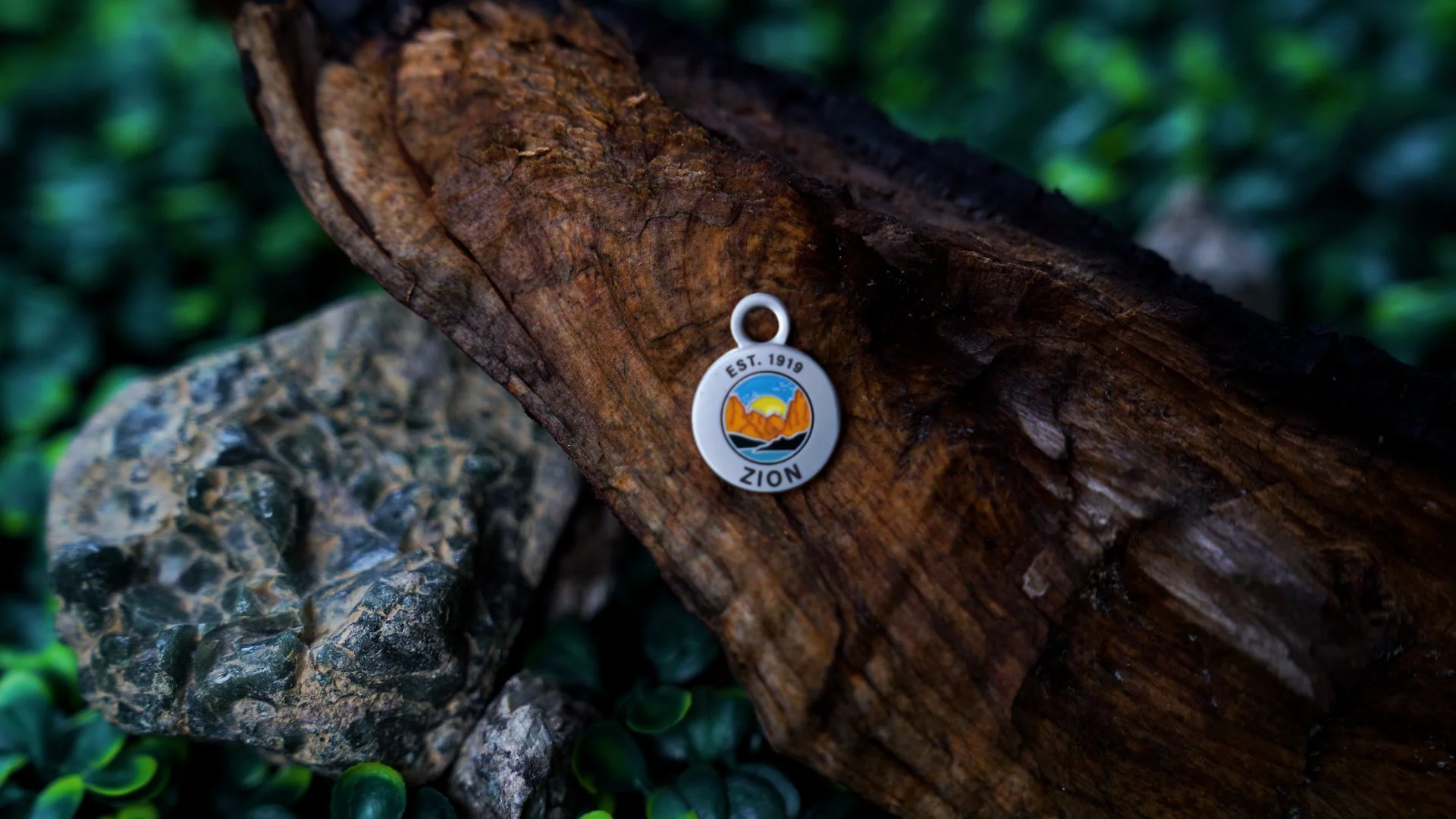 Sequence 02.00_00_18_06.Still004.jpg