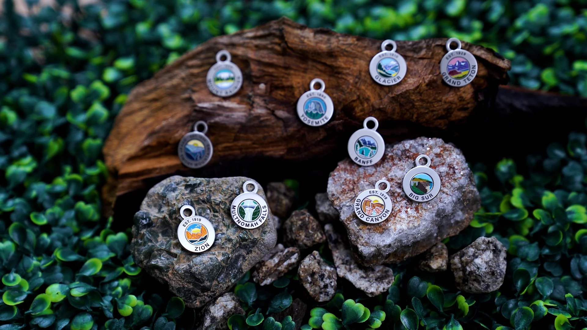 Sequence 02.00_00_50_06.Still007.jpg