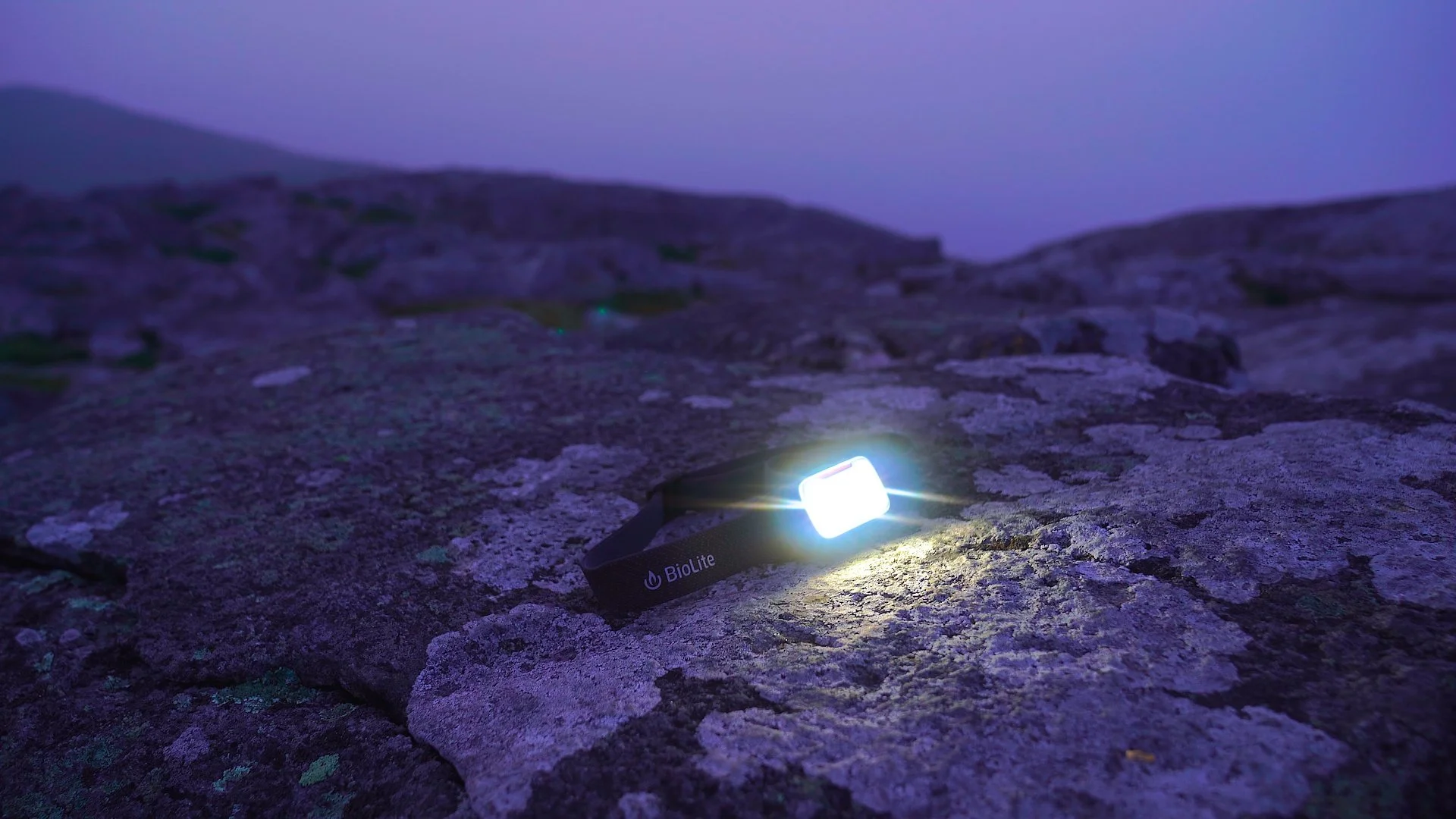 Sequence 02.00_00_24_11.Still007.jpg