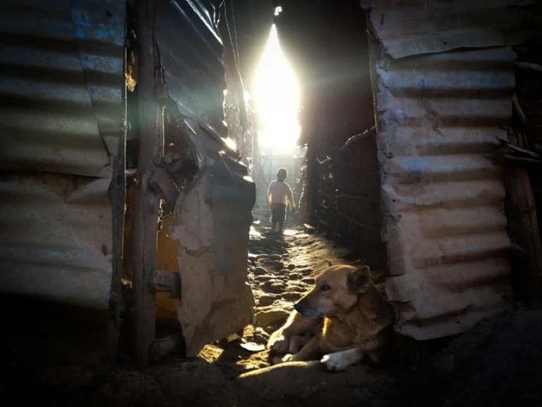 Glaring class disparity gains attention ahead of Kenya’s presidential election