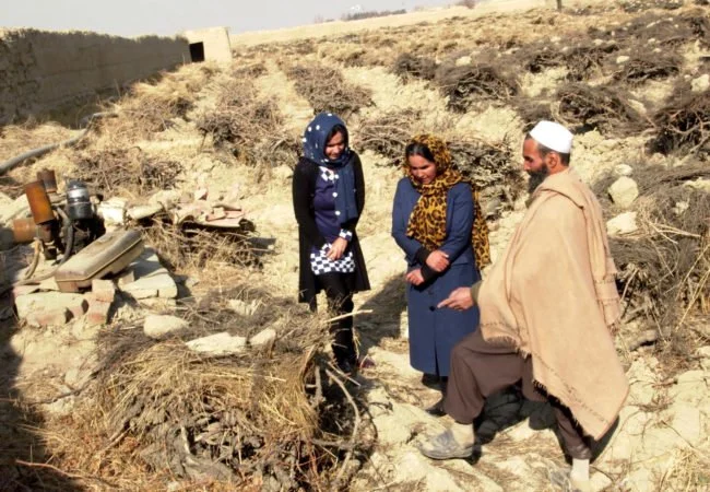 Girls’ Education in Afghanistan