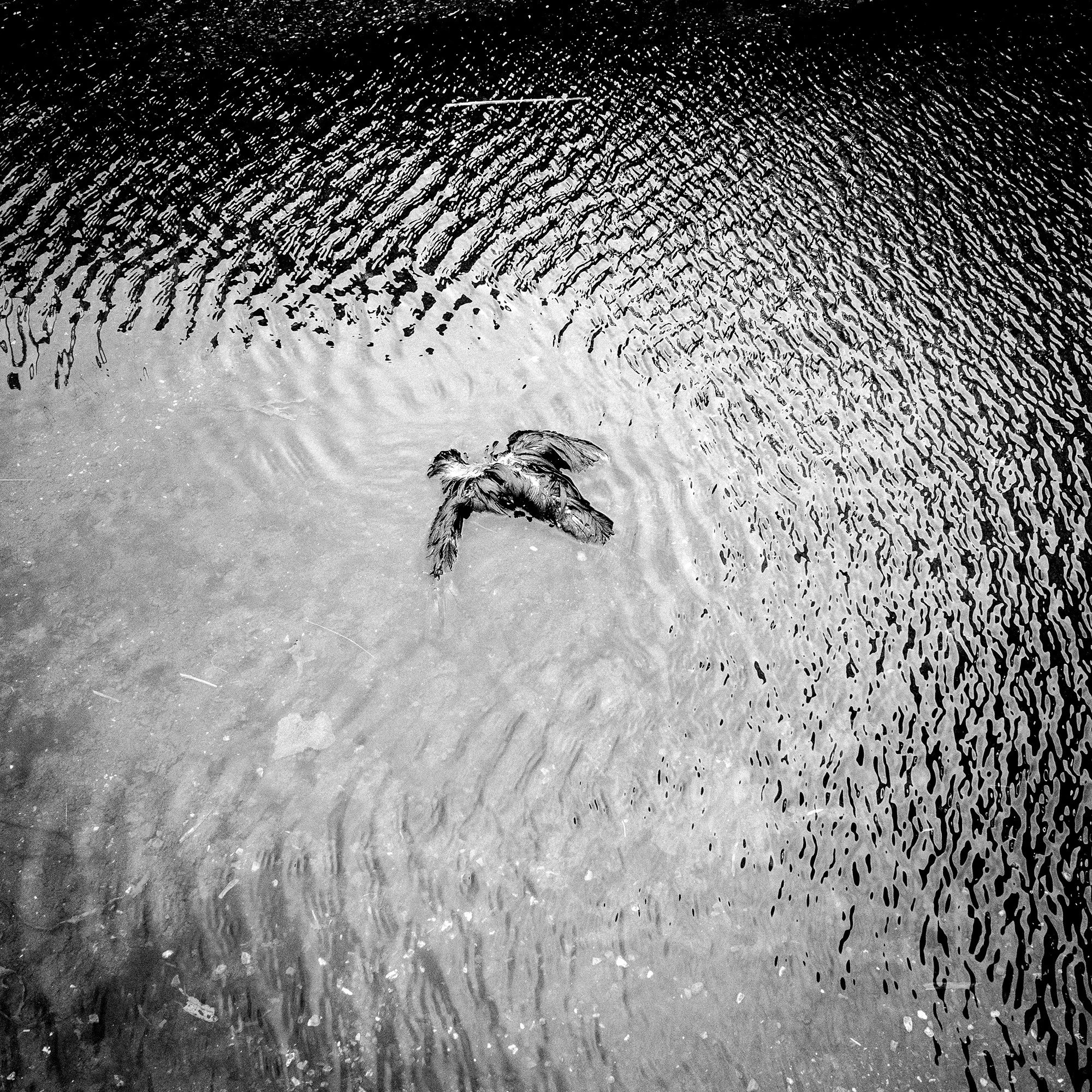 (Photo by Joris van Gennip/GroundTruth)