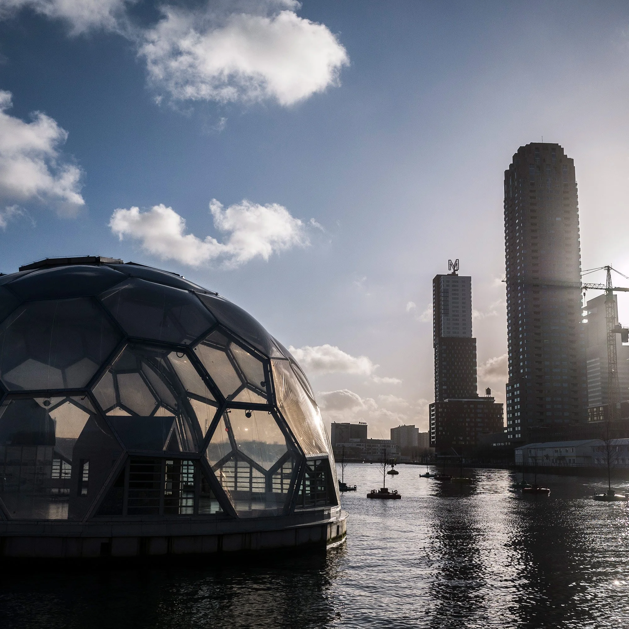 Looking out at Rotterdam’s “floating pavilion” and the Kop van Zuid, a former port area redeveloped into an office district. 