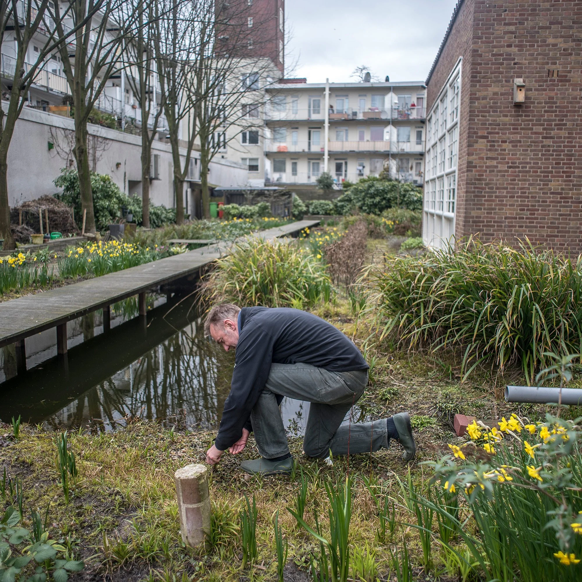 Arnoud Hekken helped start and maintains De Tuin van Jan. It’s hidden behind Meesteropleiding Coupeur in West Amsterdam. 