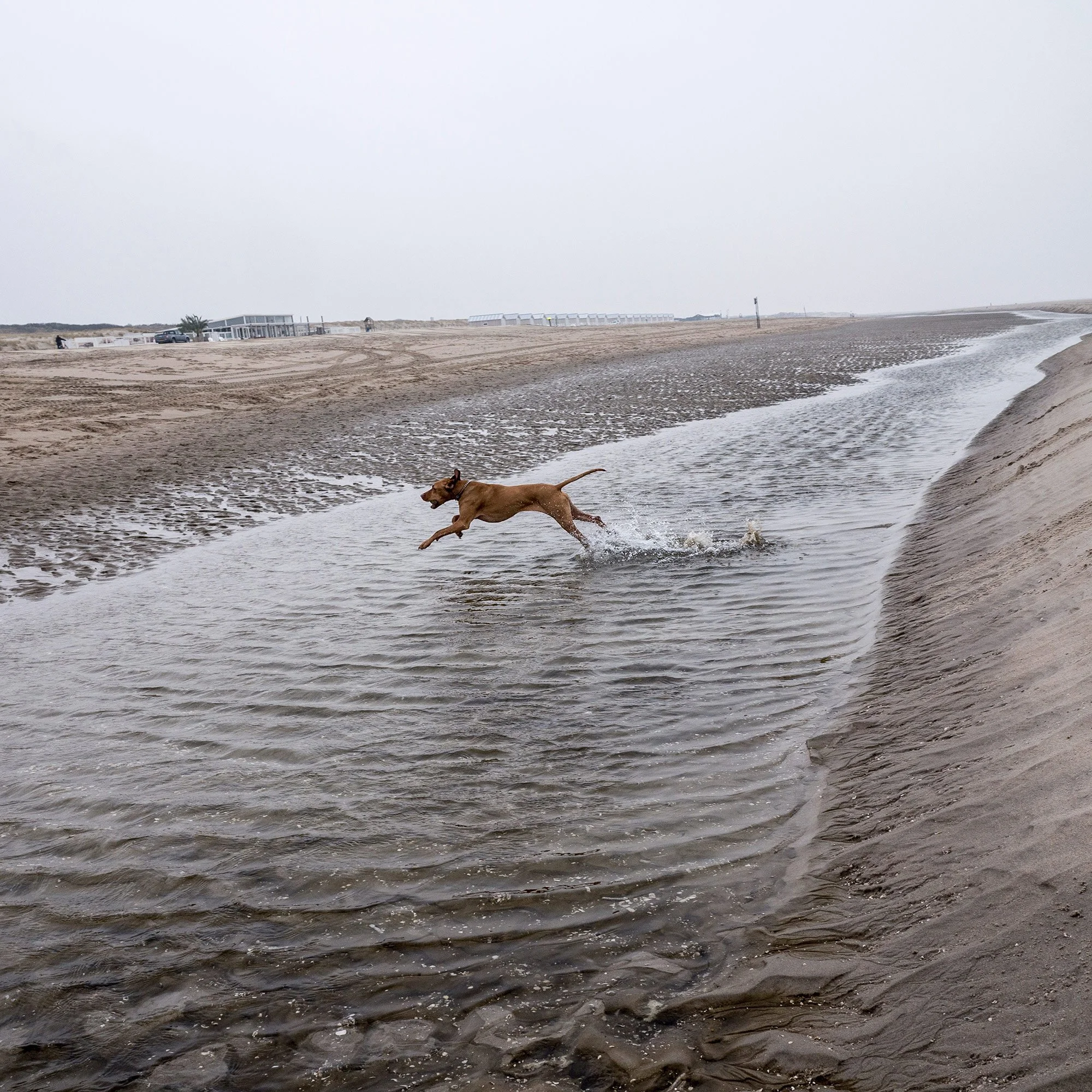 Beach scenes near the Zandmotor (“sand engine”) project outside the Hague. 