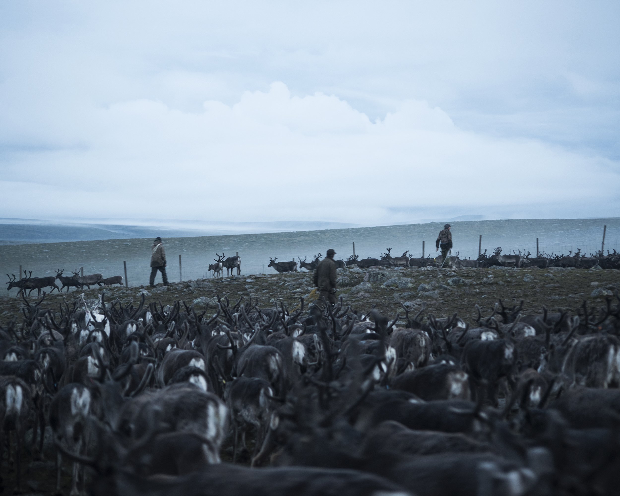 (Camilla Andersen/GroundTruth)