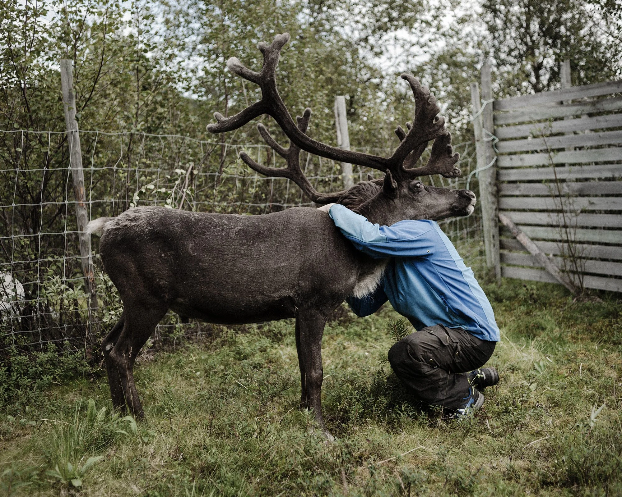 (Camilla Andersen/GroundTruth)