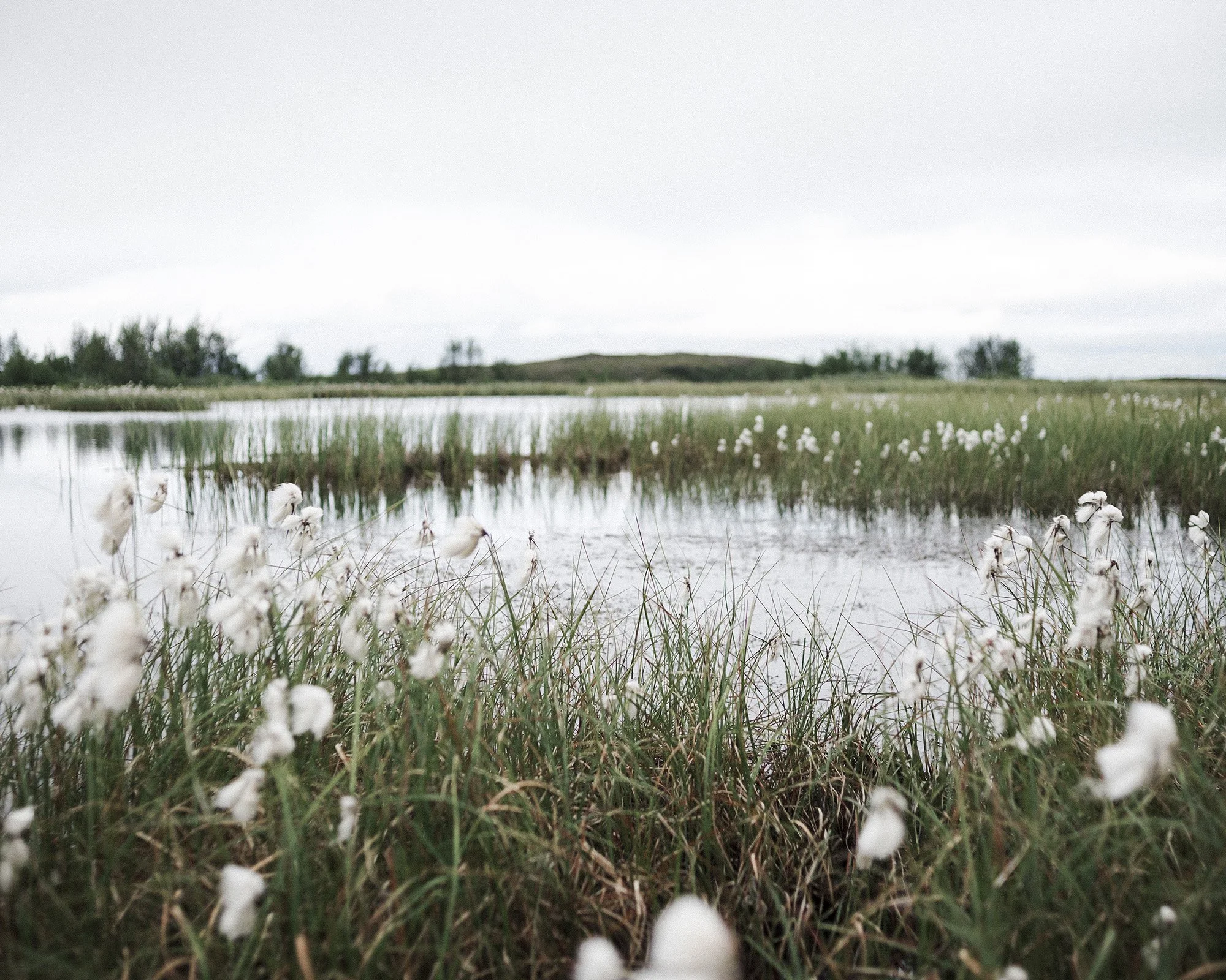 (Camilla Andersen/GroundTruth)