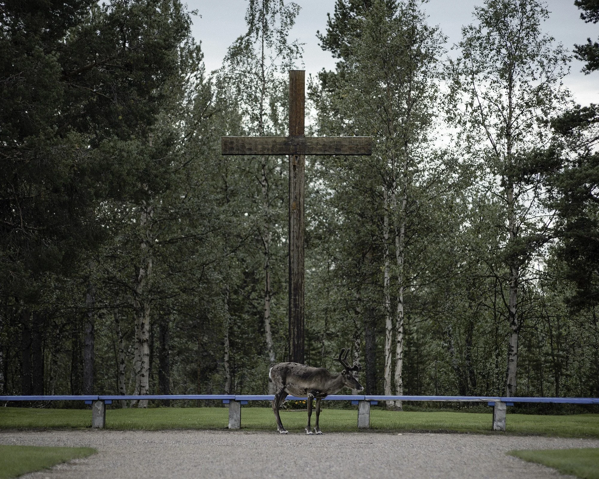 (Camilla Andersen/GroundTruth)