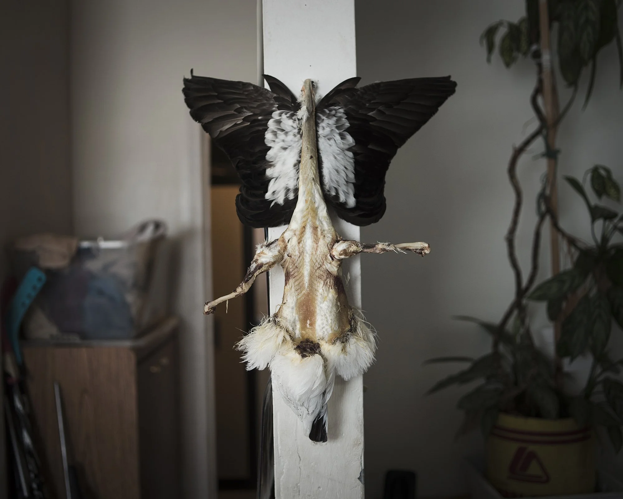 (Camilla Andersen/GroundTruth)