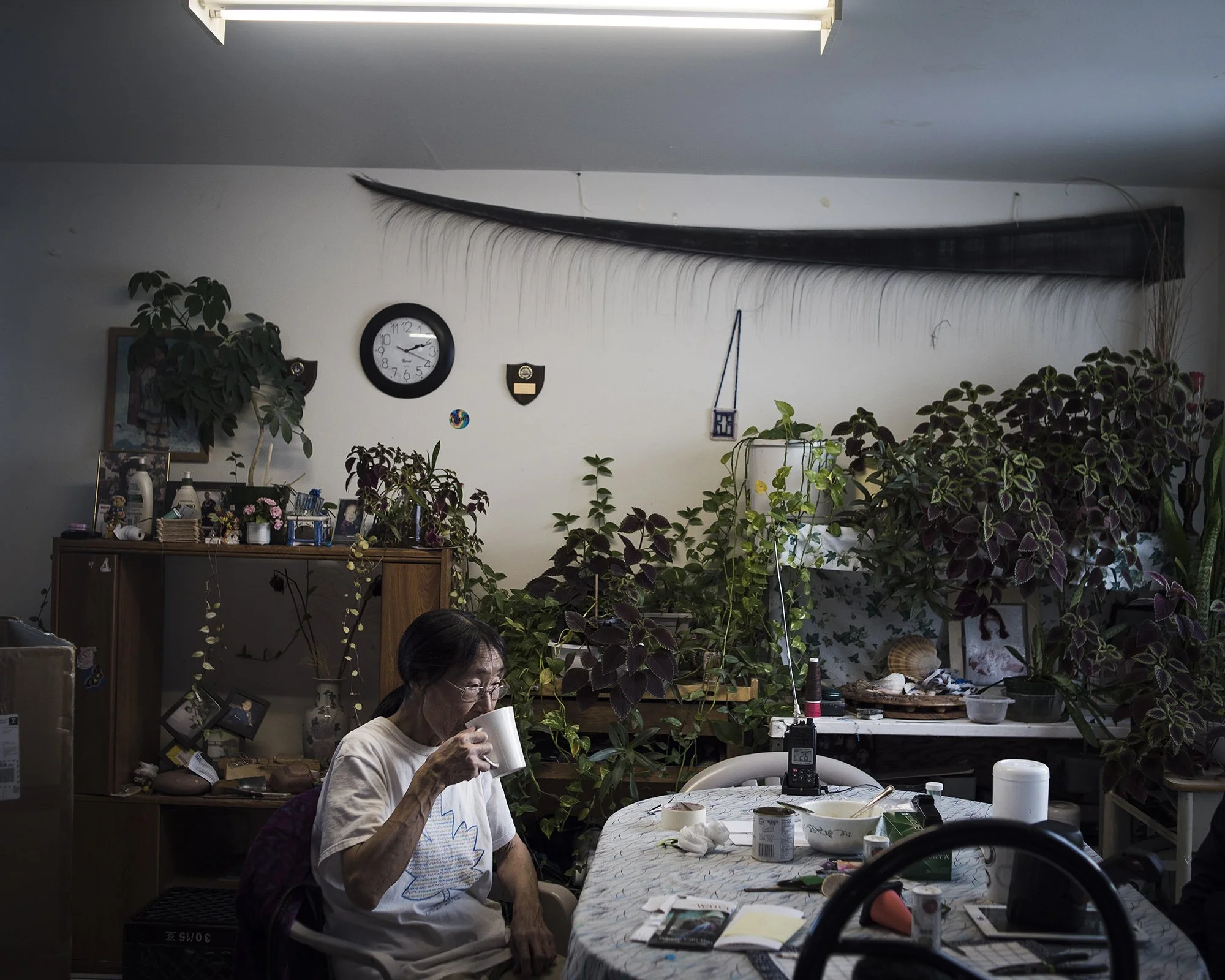 (Camilla Andersen/Groundtruth)