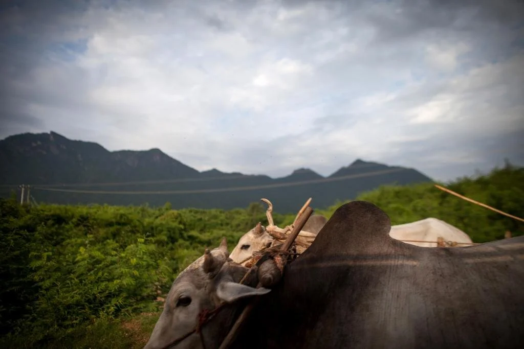 Burma Road: China’s path to influence in Myanmar