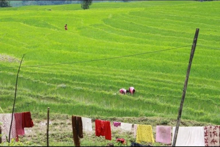 Early marriage precludes education for young Nepalis