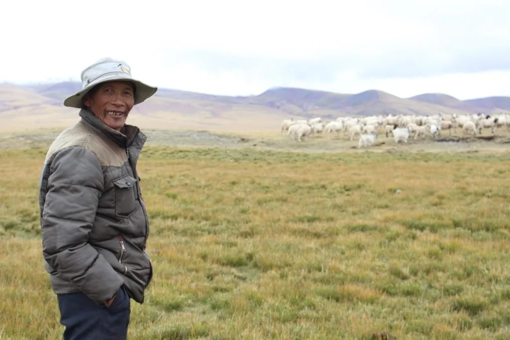 Climate change rears its head on the Tibetan Plateau