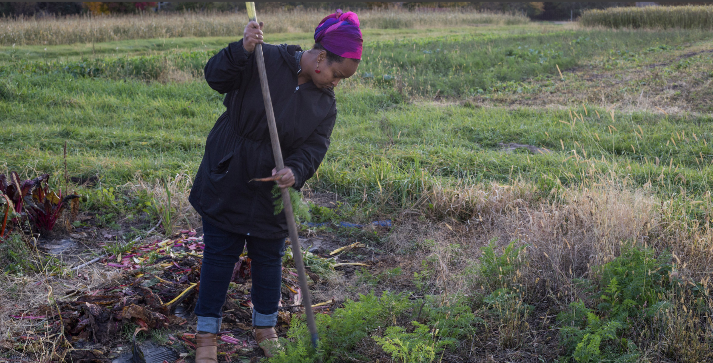 Farming in Minnesota