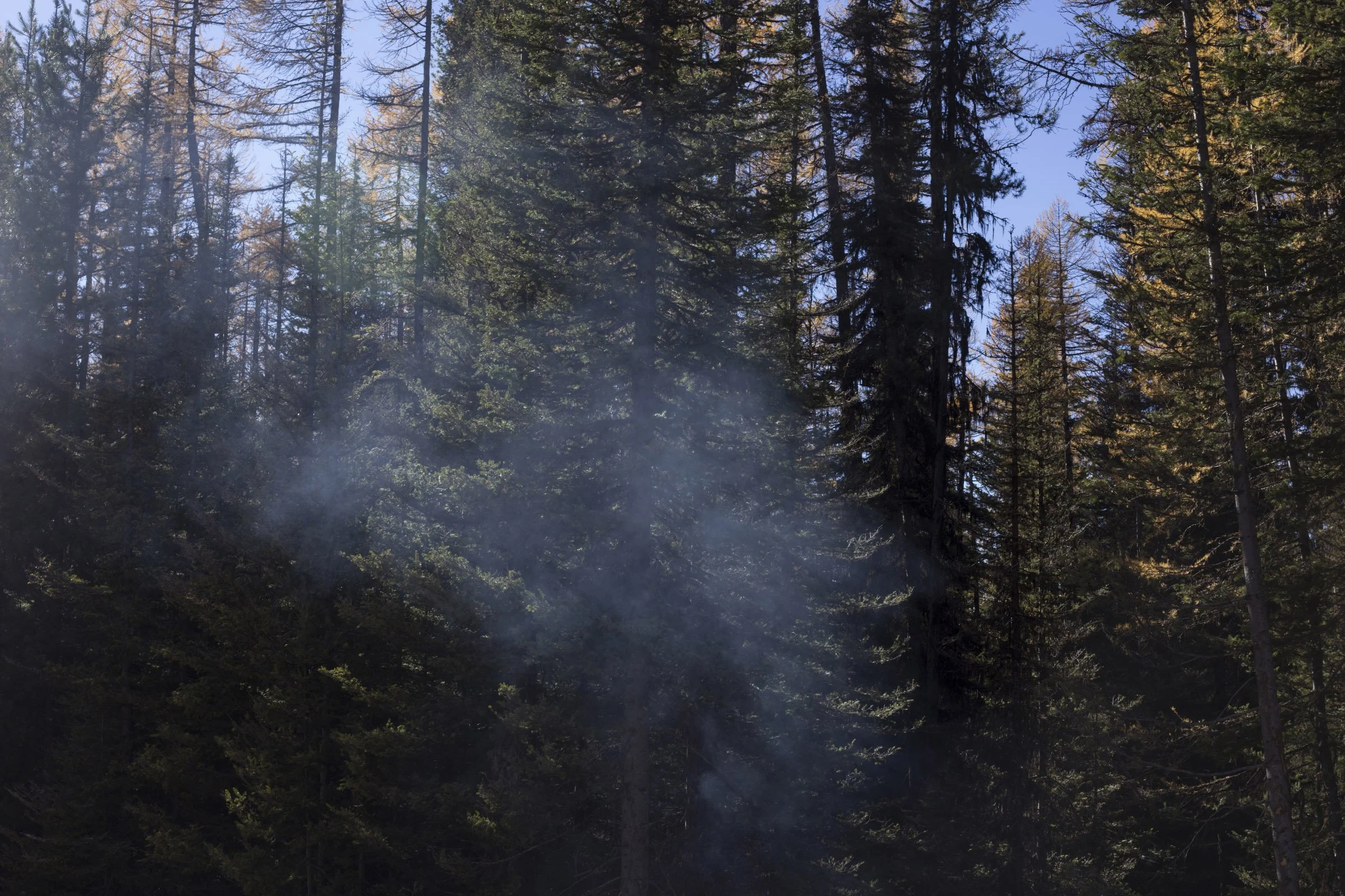  Smoke rises from a smoldering fire in the forest outside of Seeley Lake, Montana, on Thursday, October 29, 2017. (Photo by Brittany Greeson) 