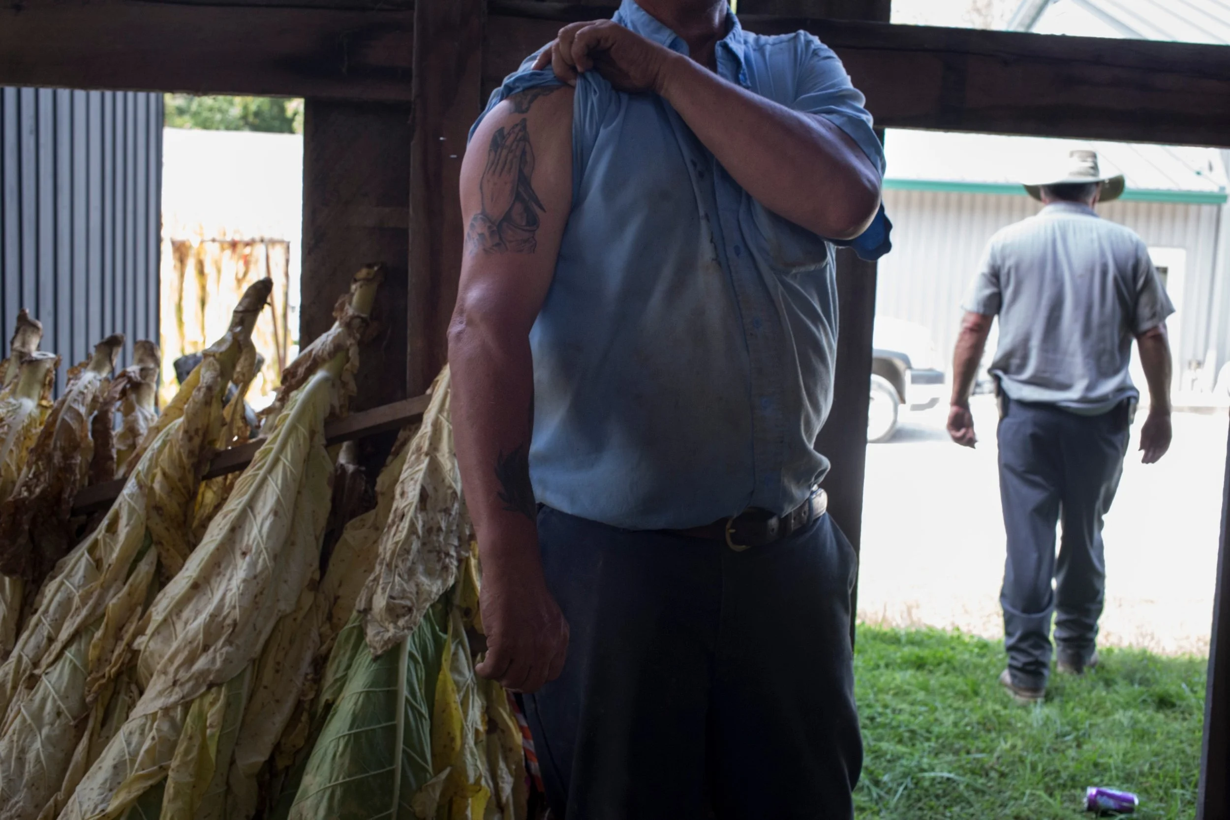  Clifford Green, 54, displays a religious tattoo while working with tobacco at the Robinson Center for Appalachian Resource Sustainability in Quicksand, Kentucky, on Monday, September 27, 2017. (Photo by Brittany Greeson) 
