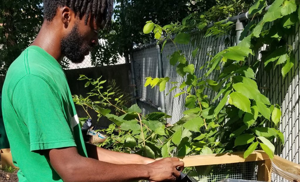 Governments take steps to fix ‘food deserts,’ but progress is slow