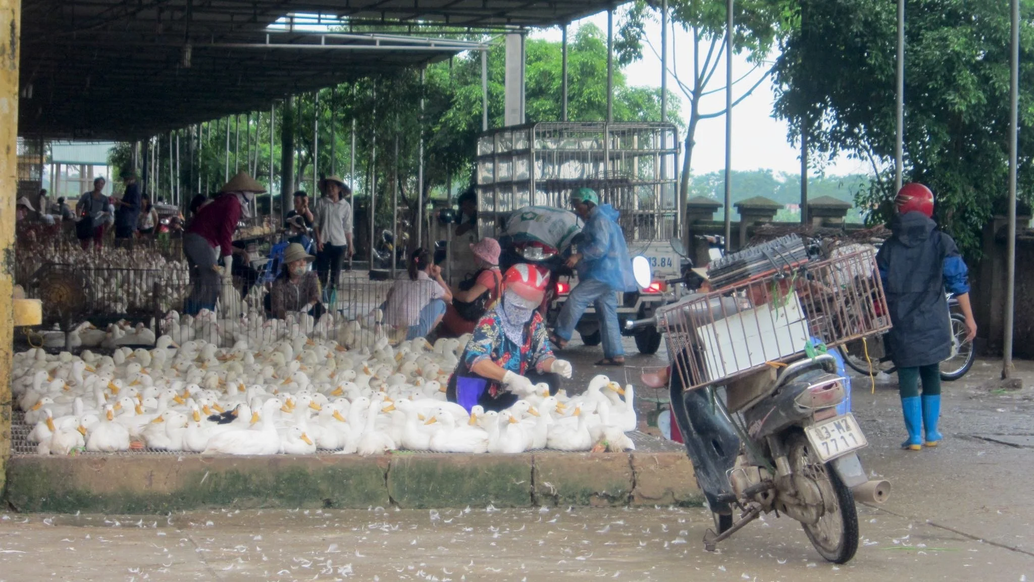 How Vietnam Mastered Infectious Disease Control