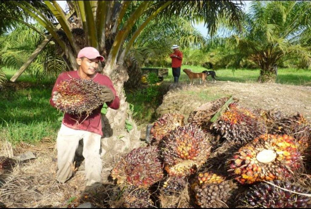 ‘Meet the New Boss’