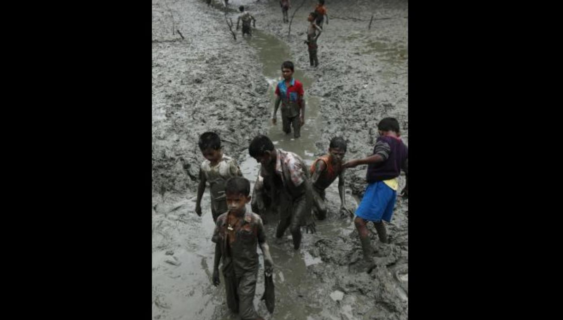 Healing the world: Bangladesh