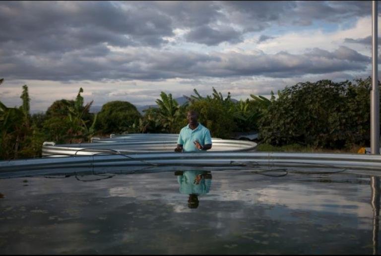 A success story in Haiti: Teach a man to fish