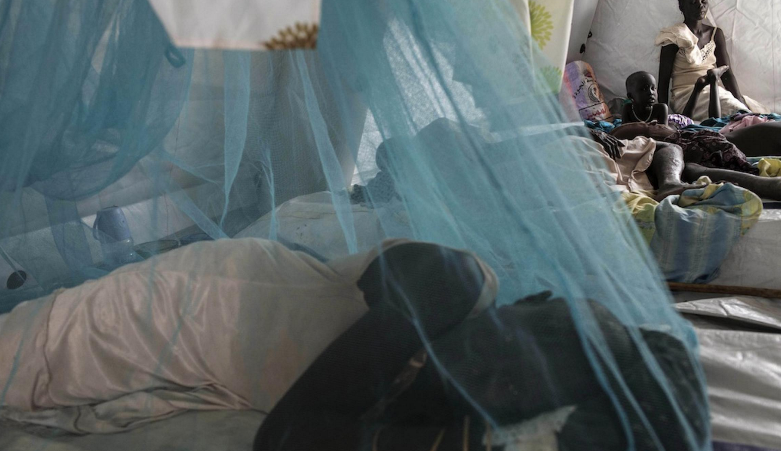 Two advances may pave new ways for combating malaria