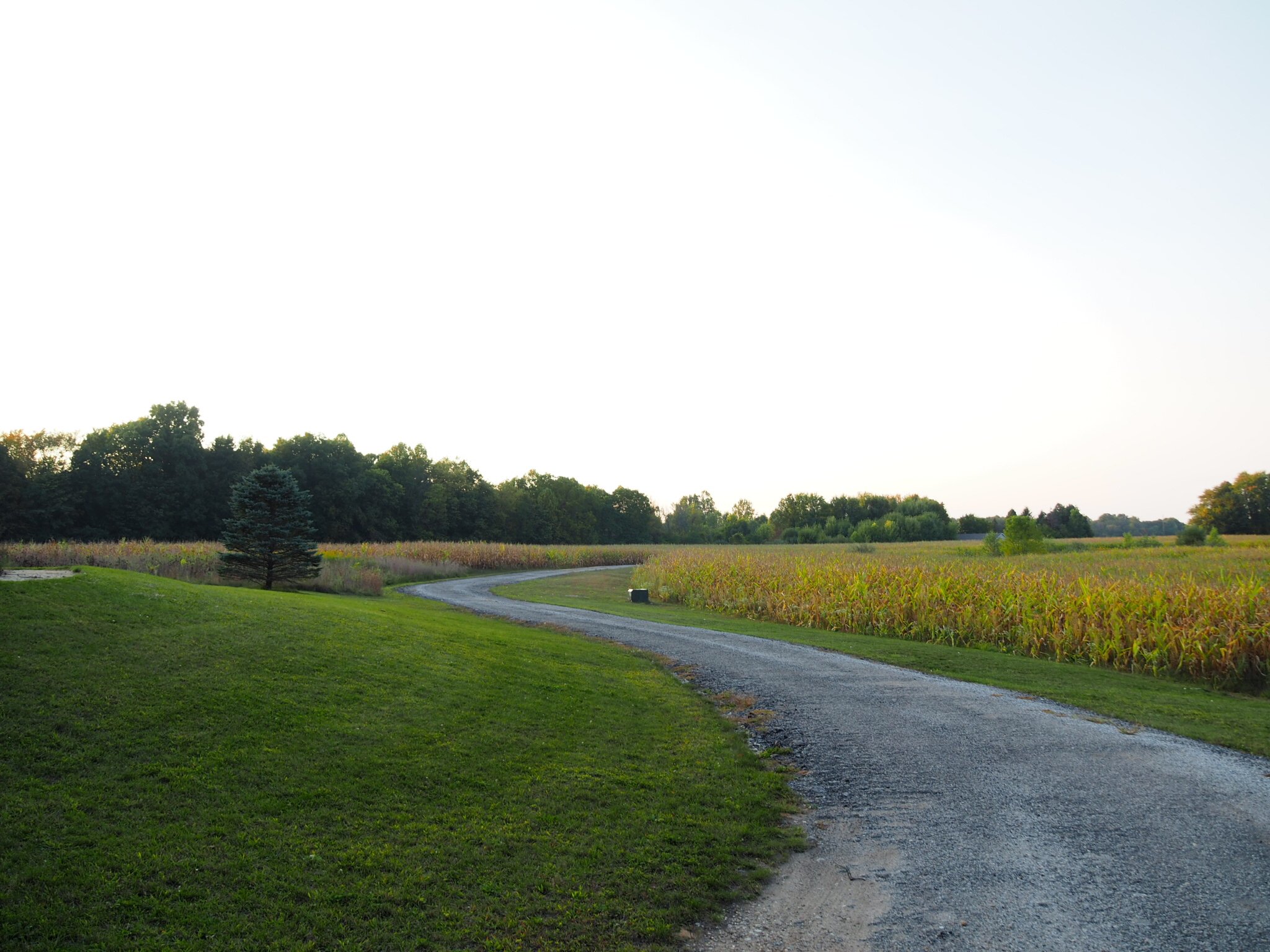 In a time of division, what does it mean to be an American?