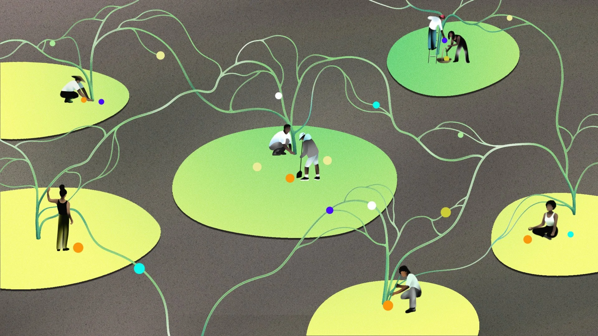 Cooperatives empower Black farmers amid historic discrimination &amp; land loss​