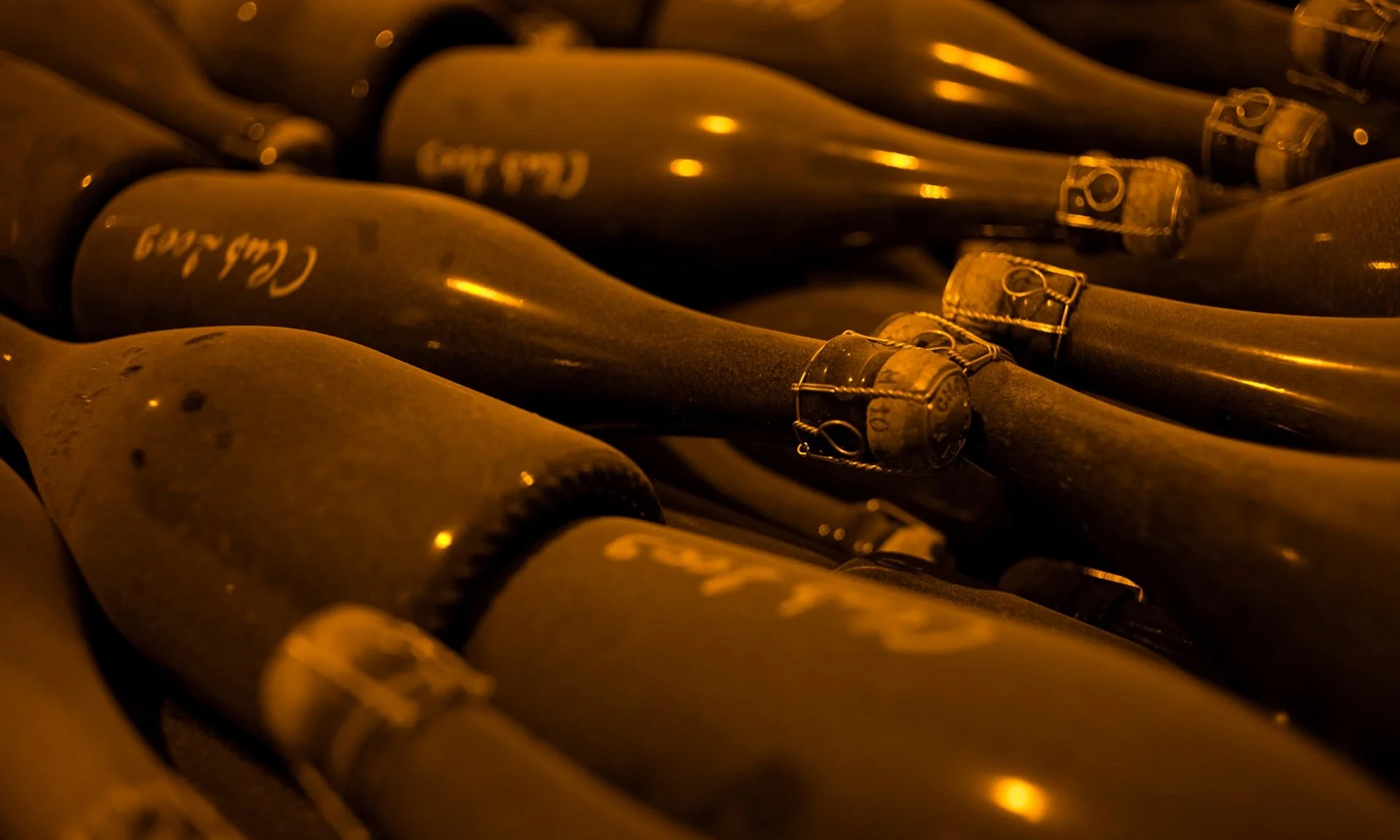 Corking climate change: sustainable practices bear fruit in champagne production