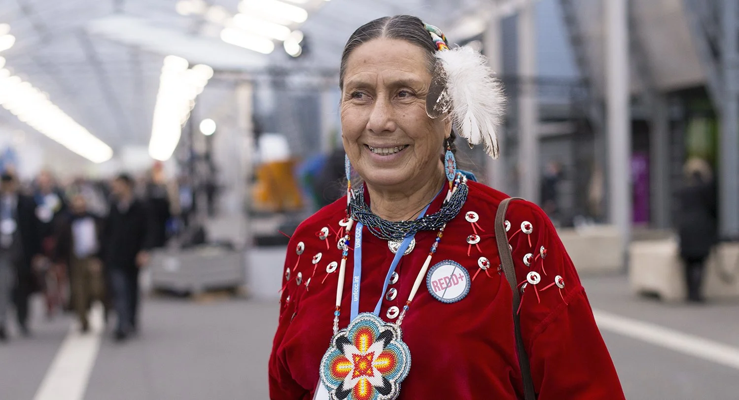 14 people fighting for the planet at COP21 — and what they want