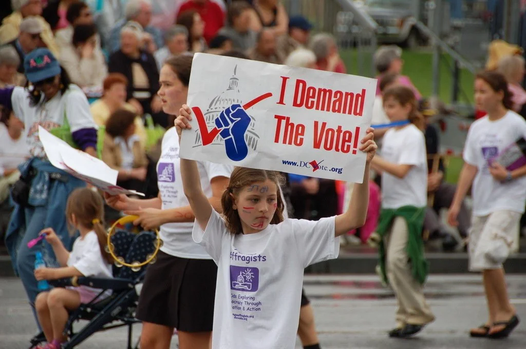 How Americans cast ballots in November will likely be decided by courts