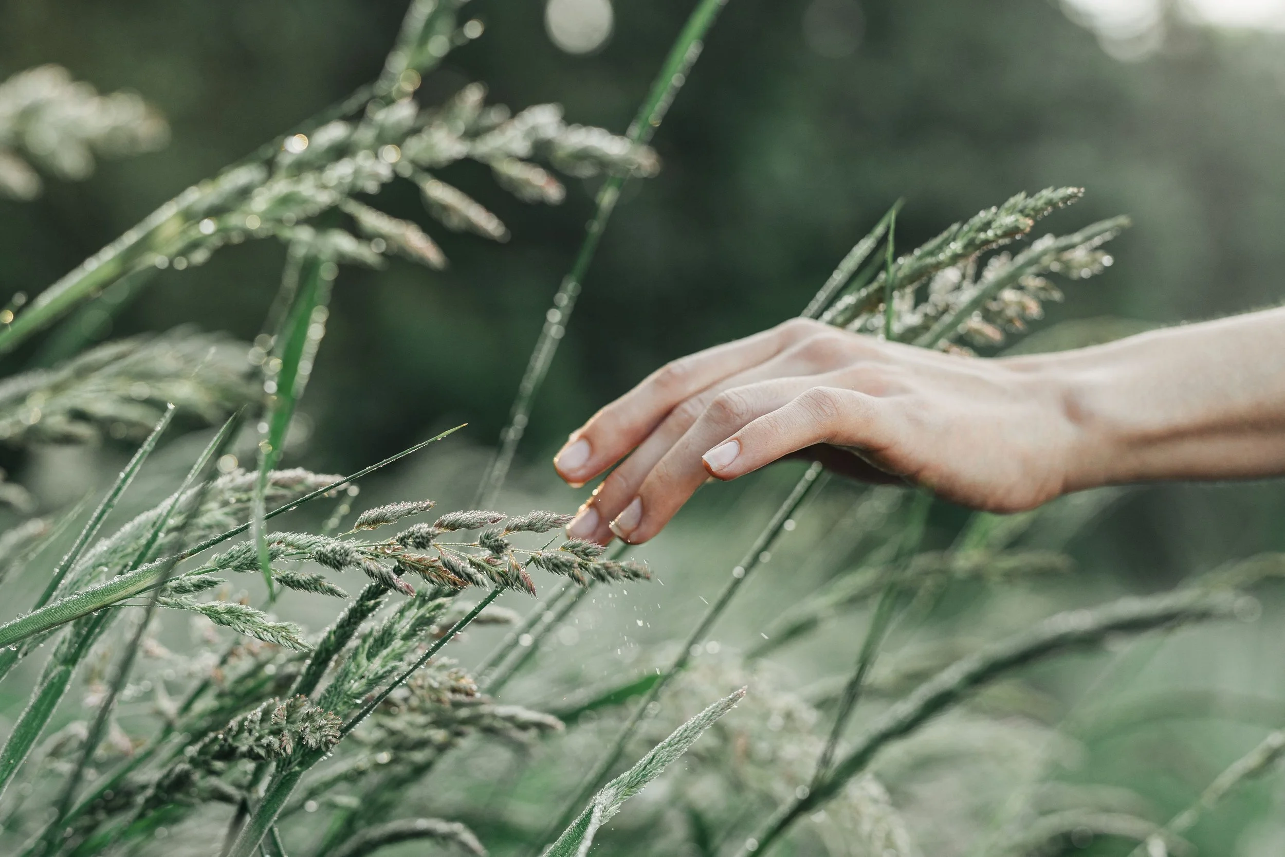 A hand grazing plants outside showcasing a peaceful environment representing cancer-focused therapy