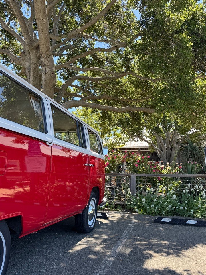 Discover the best way to explore Sonoma with West Wine Tours! Hop into our vibrant red vintage van and experience one of our top-rated tours. We offer private tour services to make your travel special and personalized. Whether you're a first-timer or