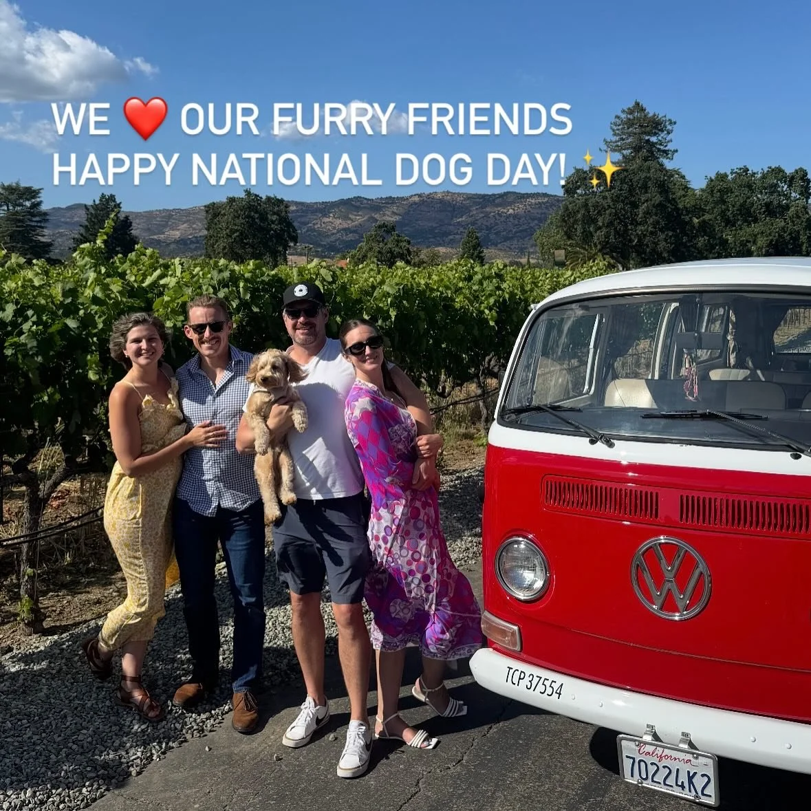 Dogs ride for free! 🐶✨ 

Happy National Dog Day to all our good boys and good girls out there! 💕 

#nationaldogsday #dogdays #furryfriend #dogsridefree #dogfriendlytravel #napatrip #sonomawinetour #winecountry