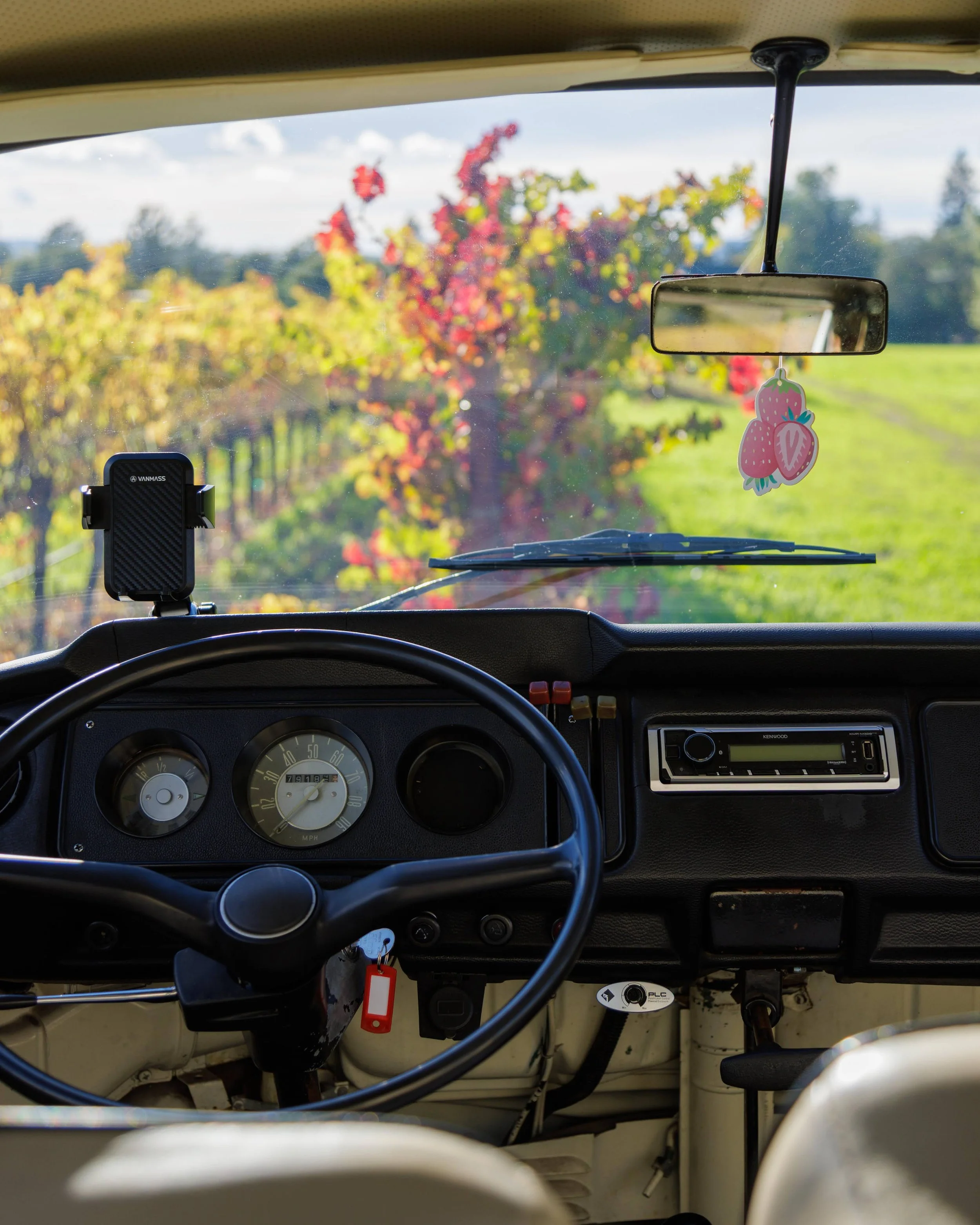 Beyond the VW Bus: Exceptional Concierge Services for Your Wine Country Journey