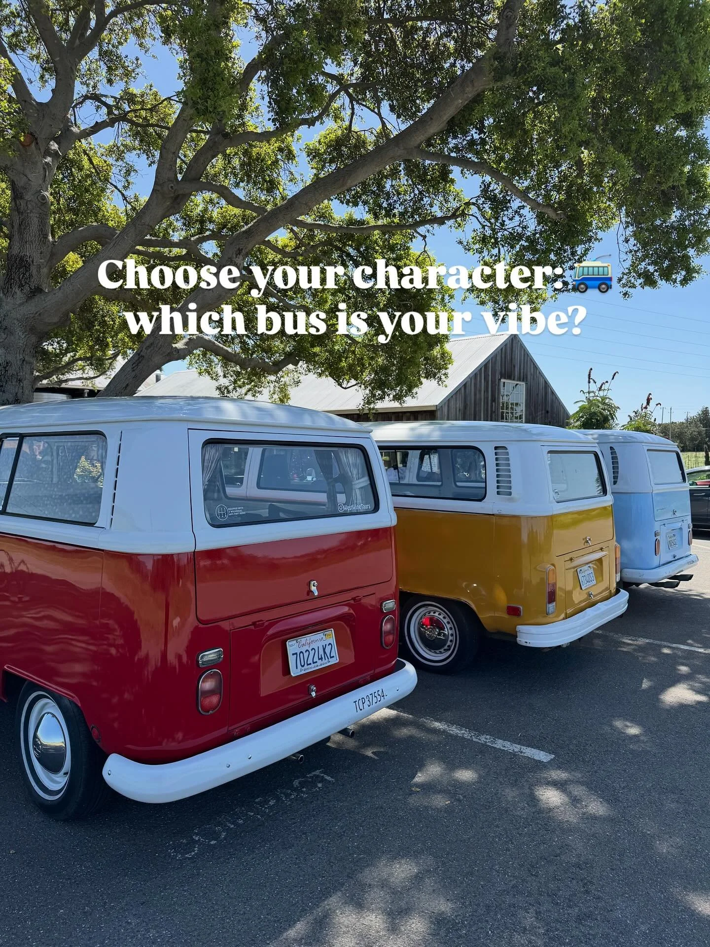 We picked up a bachelorette party last Saturday with &ldquo;just a chill wine tasting day&rdquo; on the agenda. By noon, they renamed themselves, the Ros&eacute; Riders and were demanding we make T-shirts. 

Maybe it&rsquo;s the playlist, maybe it&rs