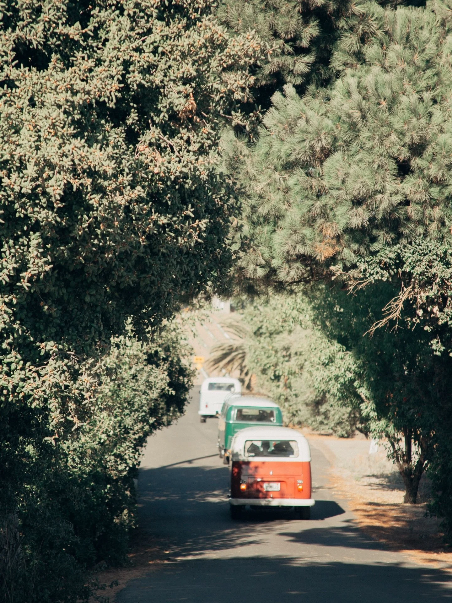 Chasing the next pour. Three vans, one agenda: good wine, great views, zero stress.

Whether you&rsquo;re booking by the seat or going private, we&rsquo;ll handle the driving&mdash;so you can stay in the moment.

Reserve your ride via the link in bio